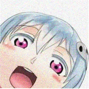 追番的小花